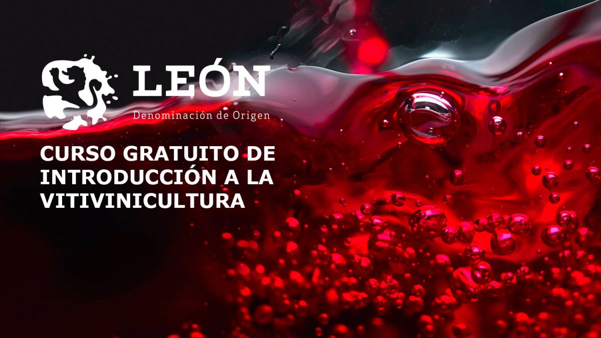 La Denominación de Origen León y la Cámara de Comercio imparten un curso gratuito de vitivinicultura