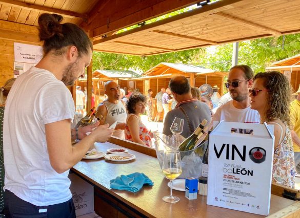 Trece bodegas de la DO León llevan a la Feria del Valencia de Don Juan los vinos de la excelente añada 2023