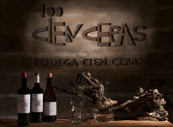 Enoturismo en Bodega 100 CEPAS