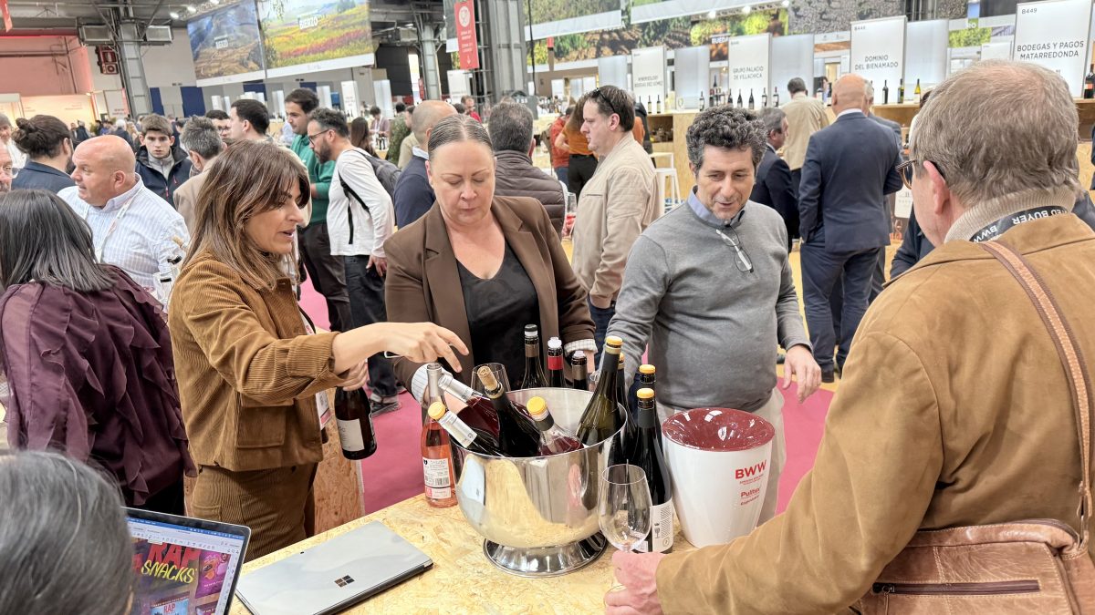 DO León to bring nine wineries to Winemad, the fair driving Madrid as a great wine capital