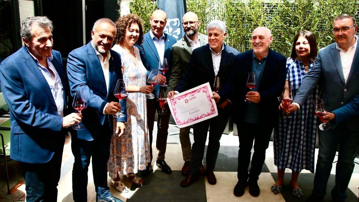 Los vinos de la DO León de la añada 2025 alcanzan por novena vez en su historia la calificación de ‘excelente’