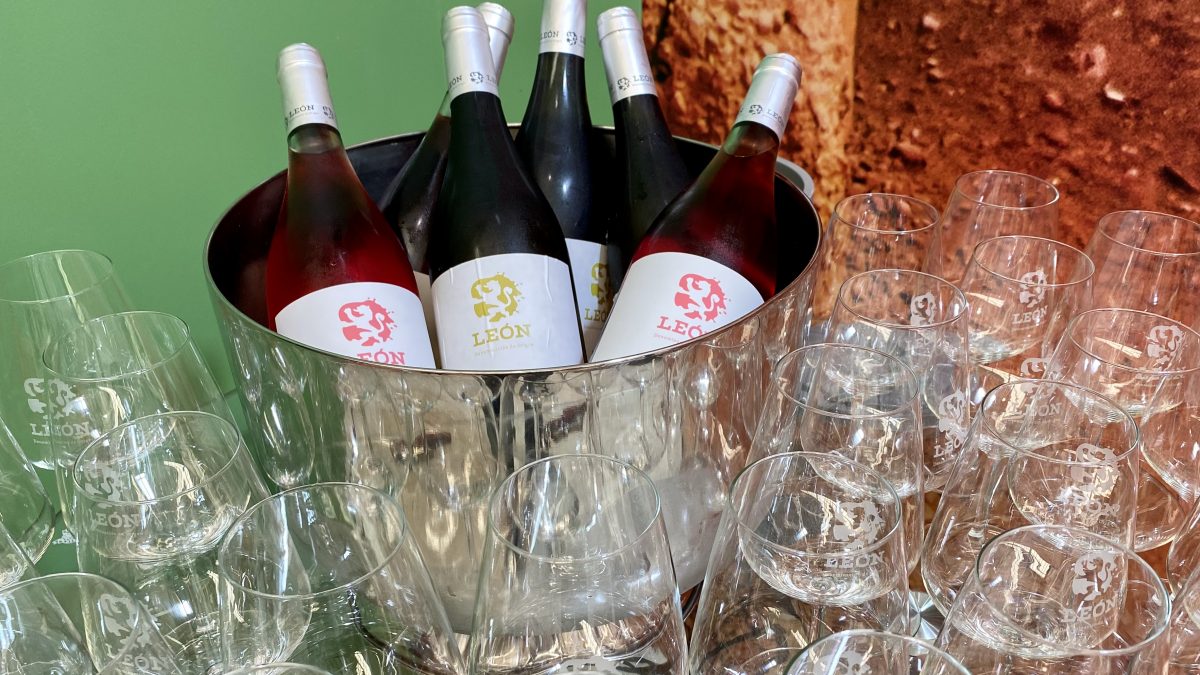 Decanter y el Concurso Mundial de Bruselas premian a los vinos de la DO León con otras cinco medallas