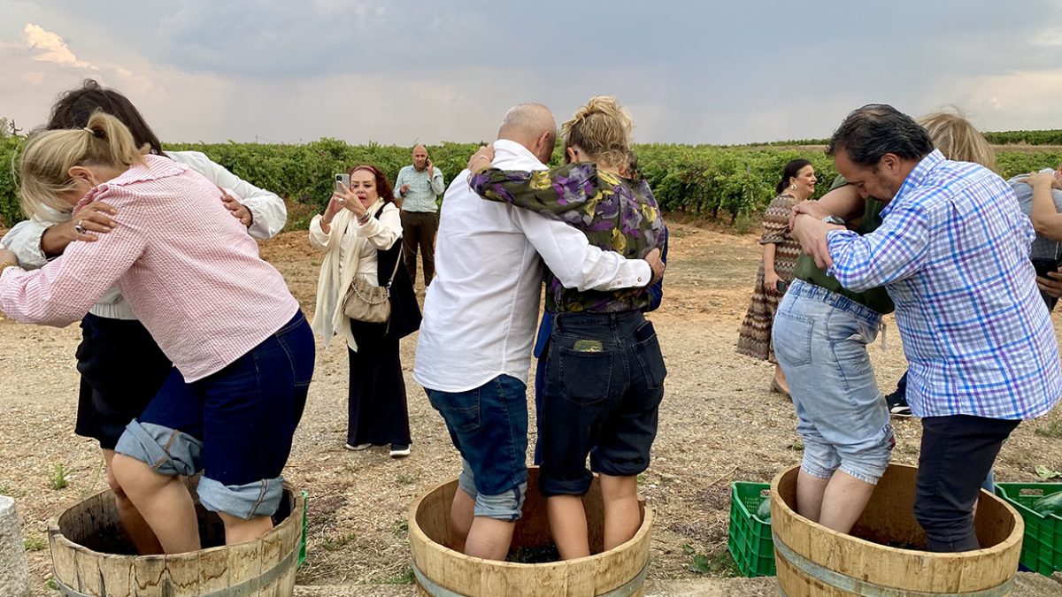 León se certifica como ruta del vino y empieza a operar con 50 asociados