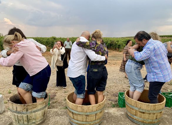 León se certifica como ruta del vino y empieza a operar con 50 asociados